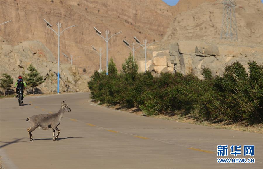 1126044797_15906479532921n.jpg 1126044797_15906479532921n.jpg